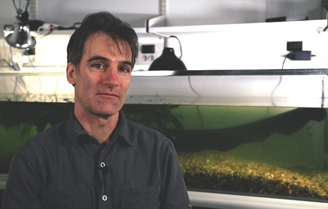 lươn điện làm con mồi đông cứng ảnh 3 luon dien lam con moi dong cung anh 3