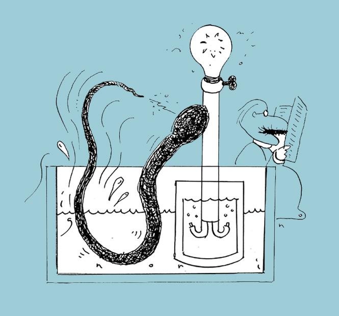 Luon phat ra dien 860 volt, sao khong nuoi de thap sang trong nha? hinh anh