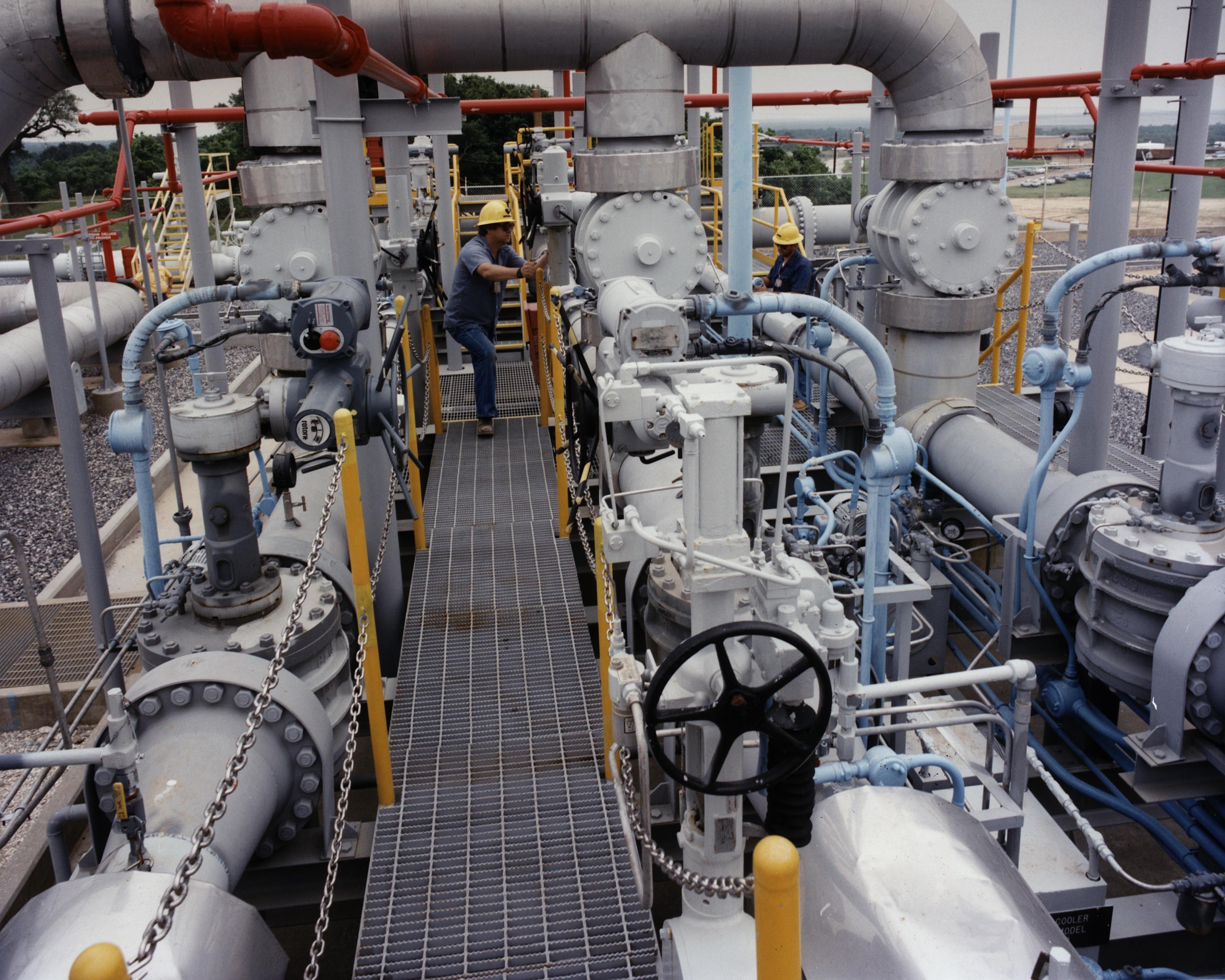 Kho dau duoi long dat My anh 6