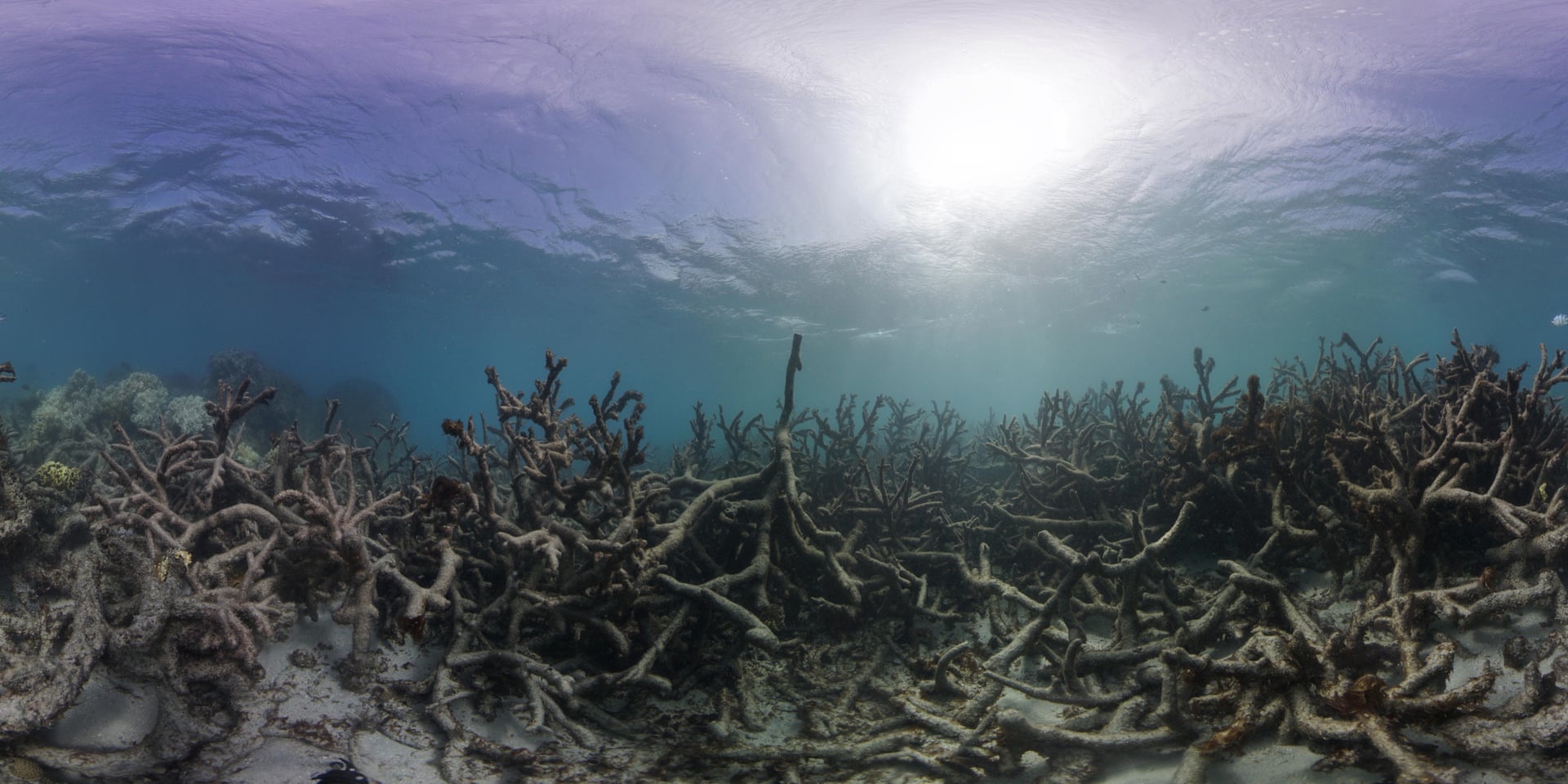 bien doi khi hau Australia anh 4