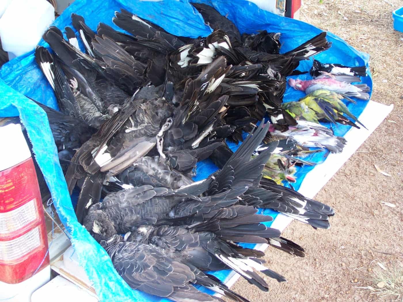 bien doi khi hau Australia anh 17