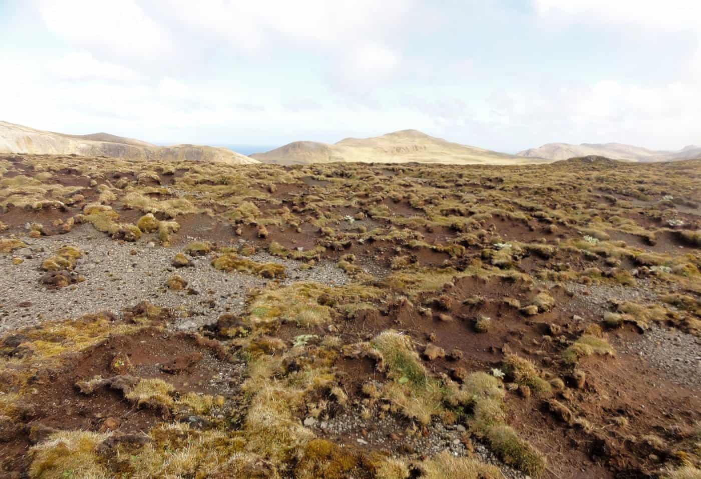 bien doi khi hau Australia anh 7