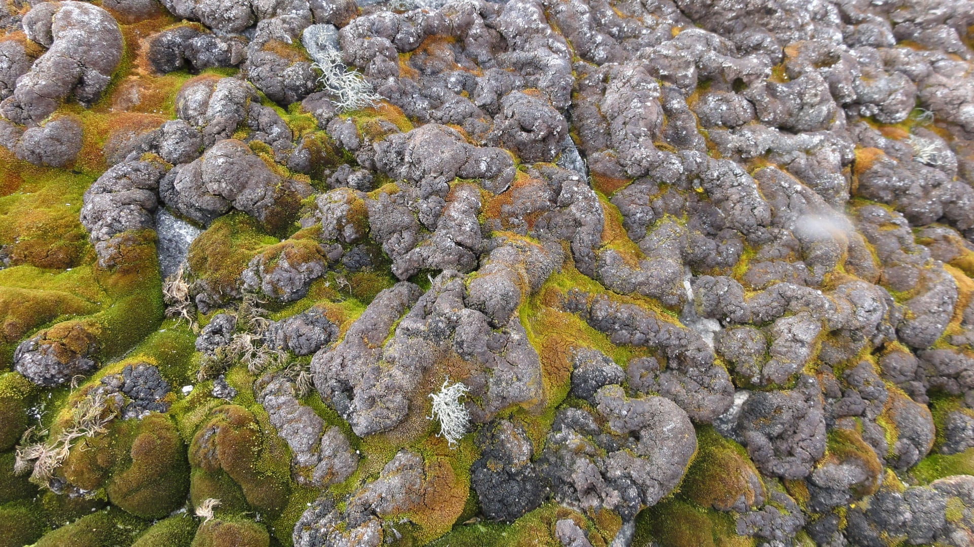 bien doi khi hau Australia anh 6