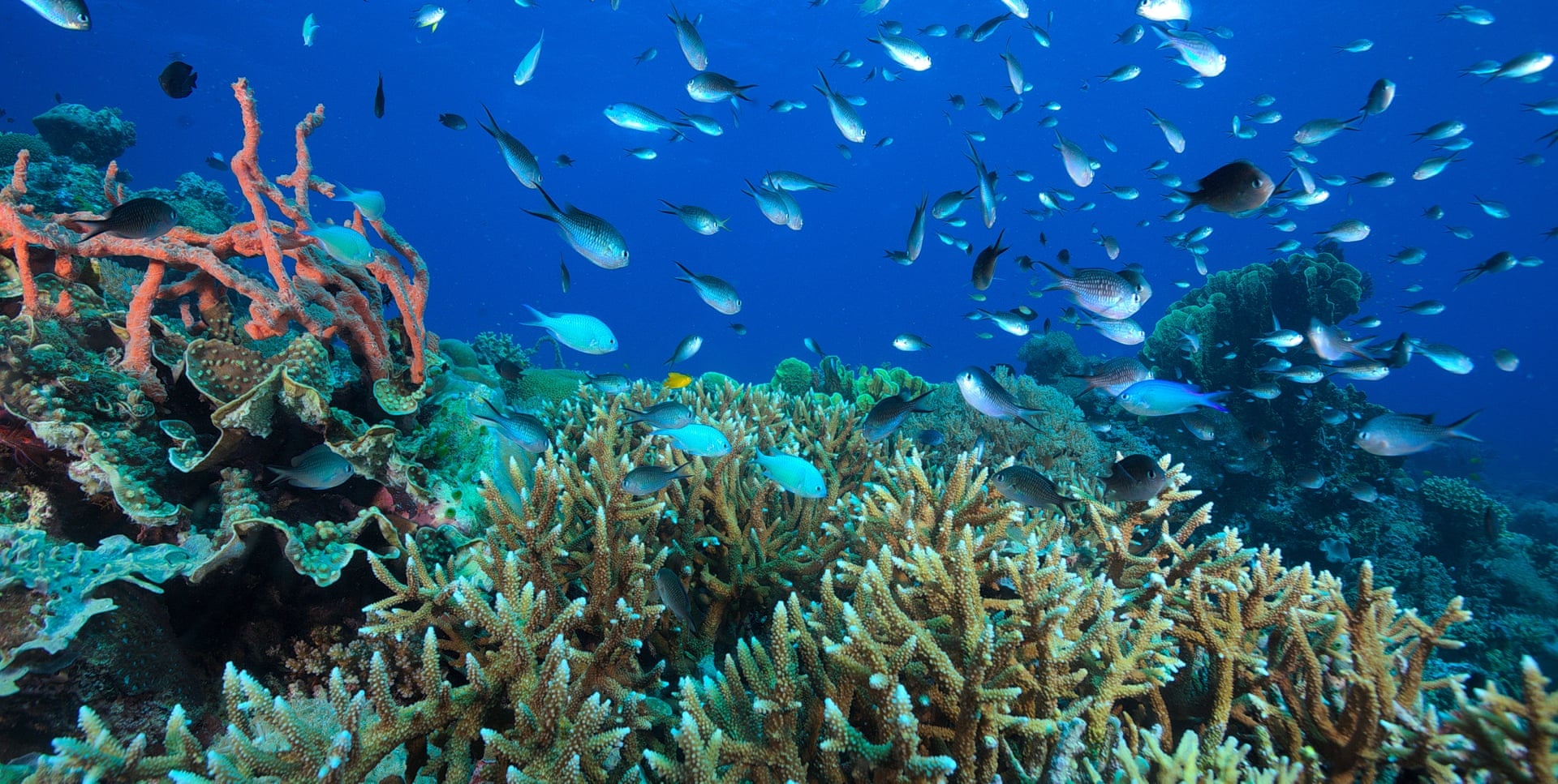 bien doi khi hau Australia anh 3