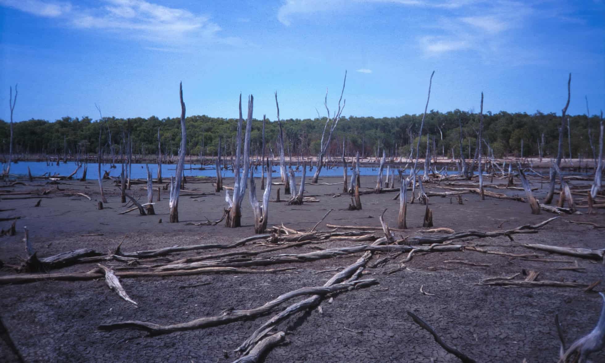 bien doi khi hau Australia anh 1
