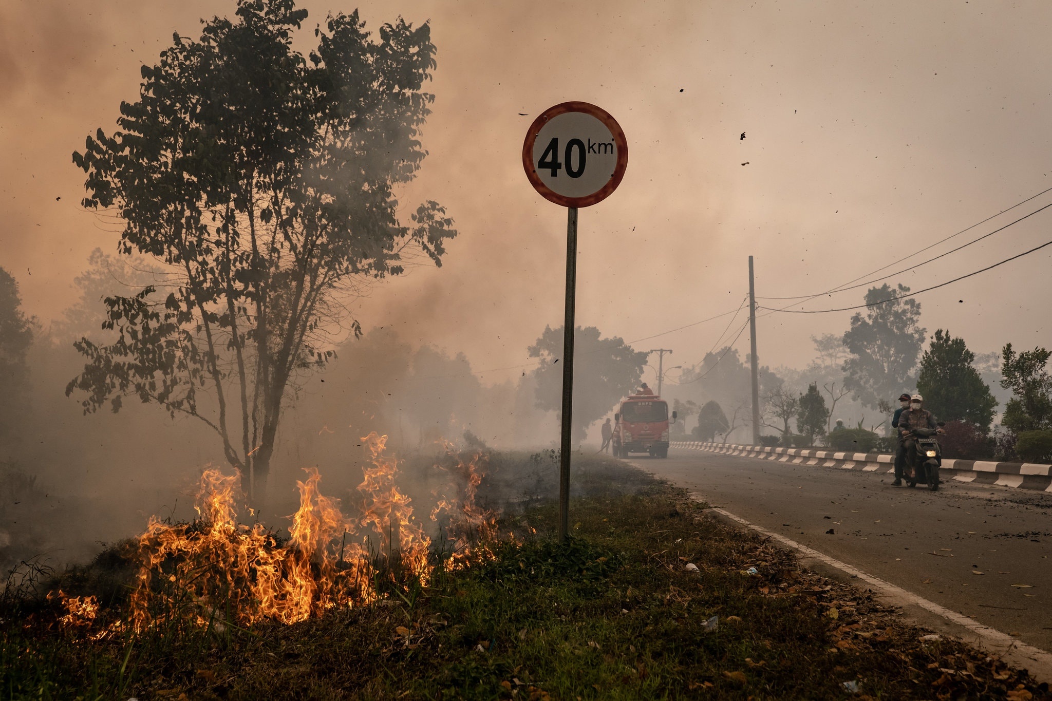 chay rung Indonesia anh 7