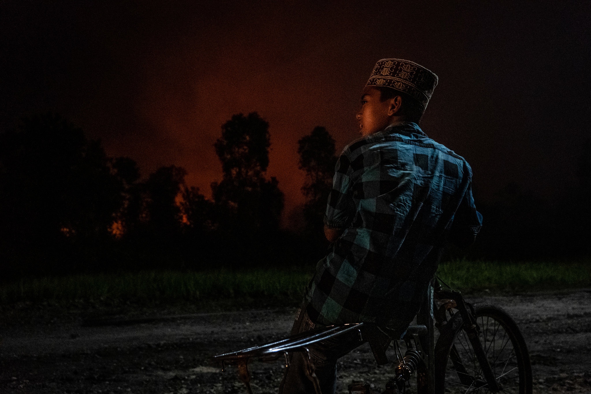 chay rung Indonesia anh 8