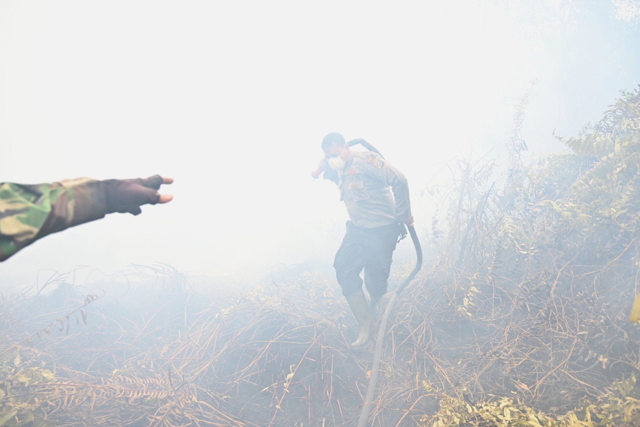 chay rung Indonesia anh 5