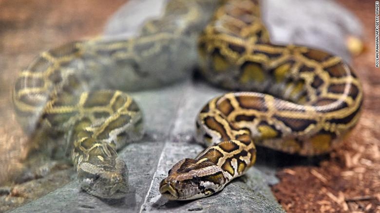 tran gam giet chet phu nu anh 1