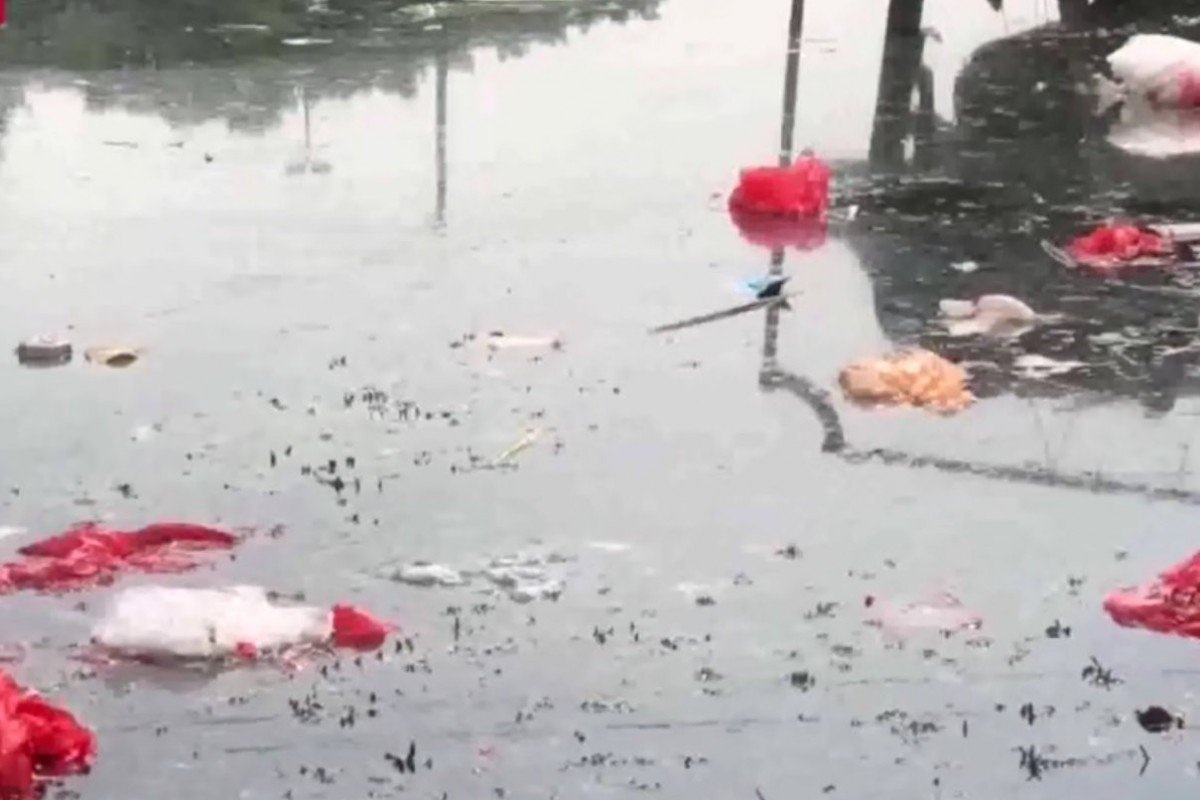 Ho nuoi dac san Trung Quoc bi dau doc anh 1