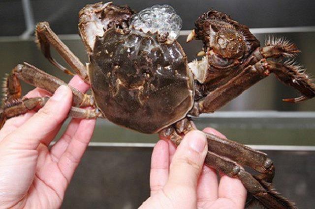 Ho nuoi cua long Trung Quoc bi dau doc vi du khach ky luc hinh anh