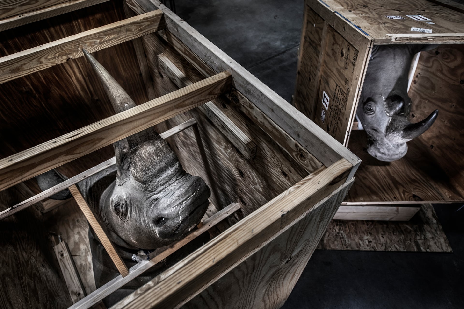 anh thien nhien cua nam anh 11