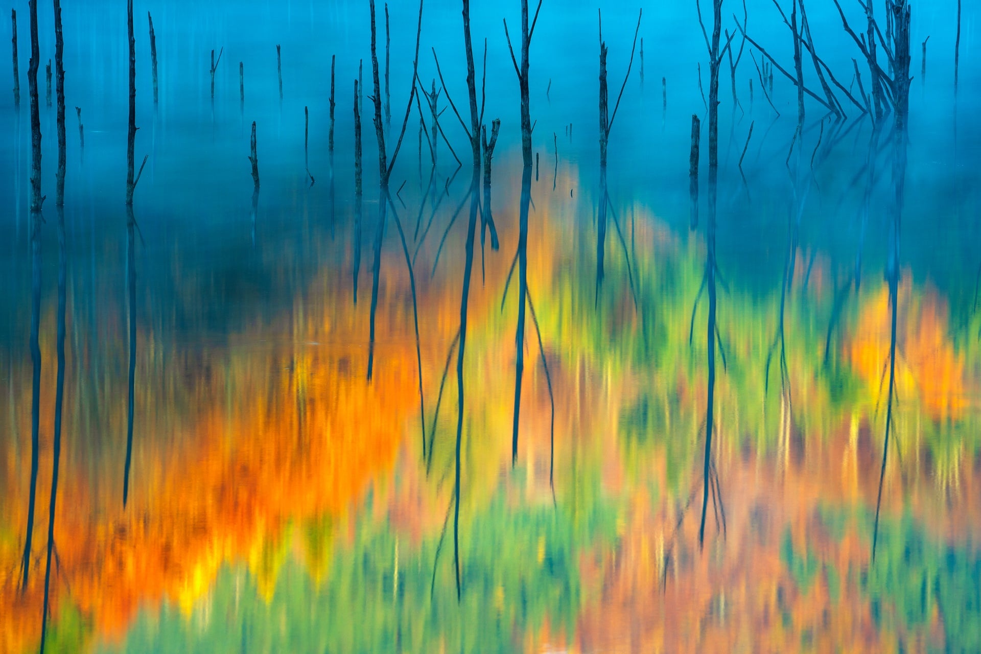 anh thien nhien cua nam anh 14