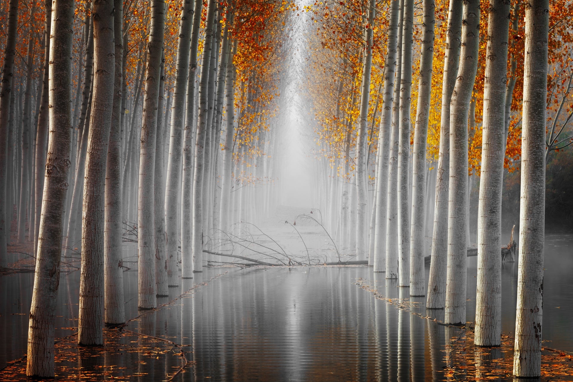 anh thien nhien cua nam anh 6