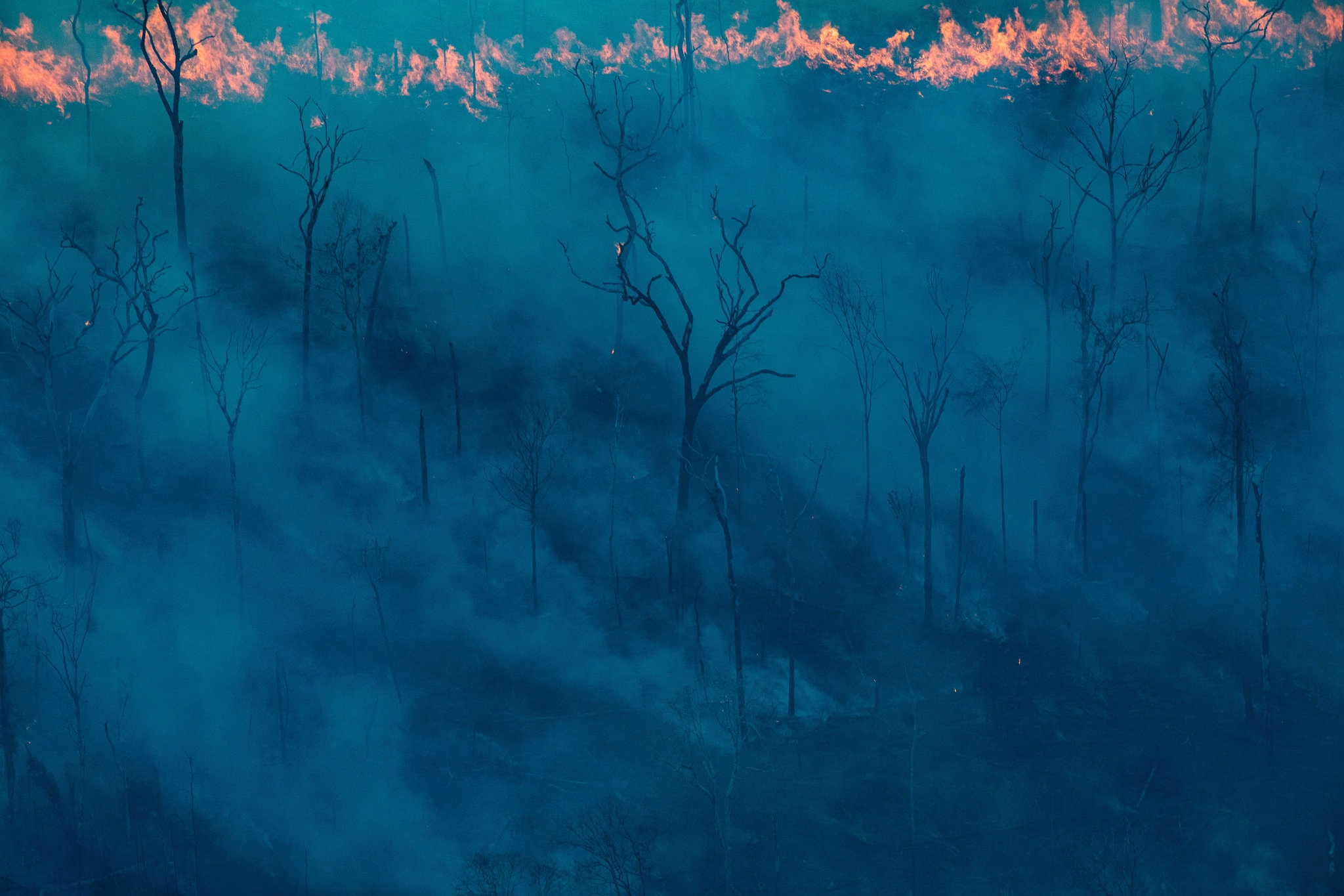 the gioi nam 2019 nhin lai anh 77