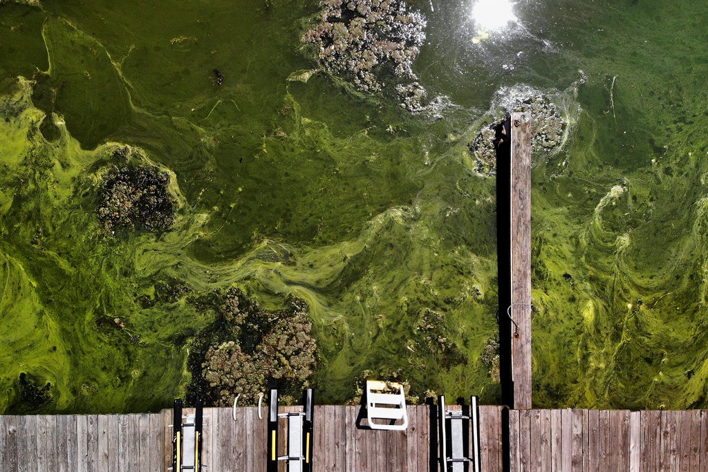 the gioi nam 2019 nhin lai anh 122