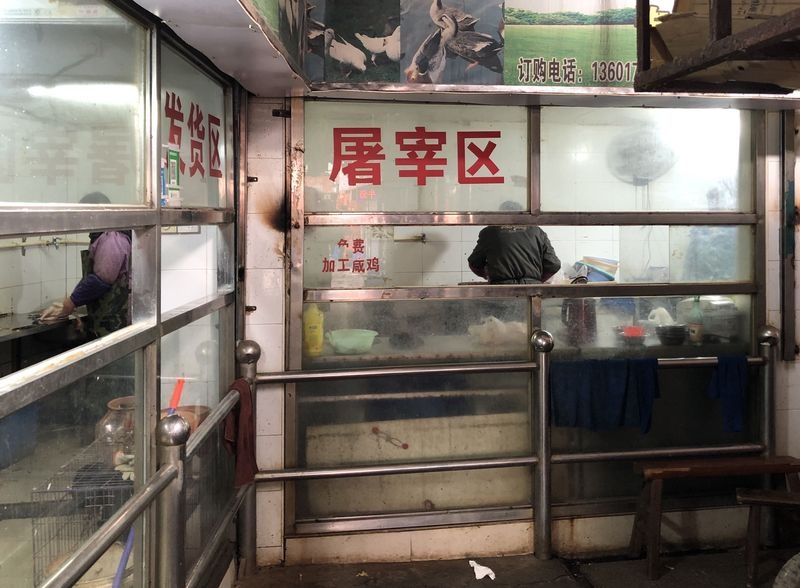 virus viem phoi la anh 2