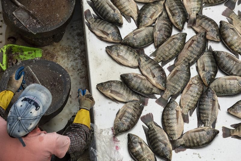 virus viem phoi la anh 5