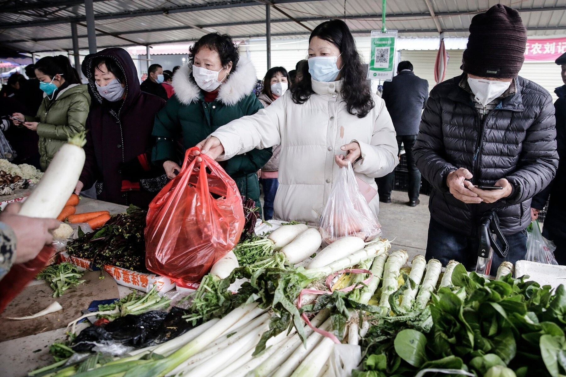 dich virus corona anh 2