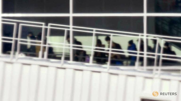 virus corona Nhat Ban so tan anh 1