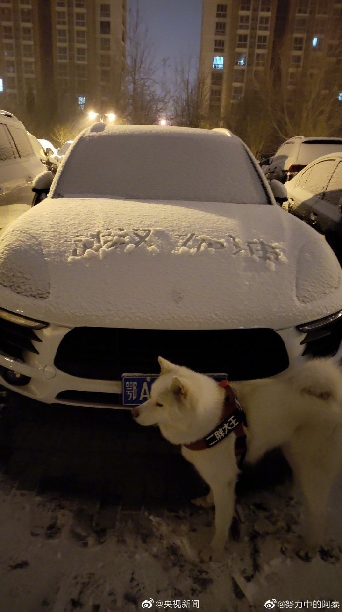 bắc kinh virus corona ảnh 12 bac kinh virus corona anh 12