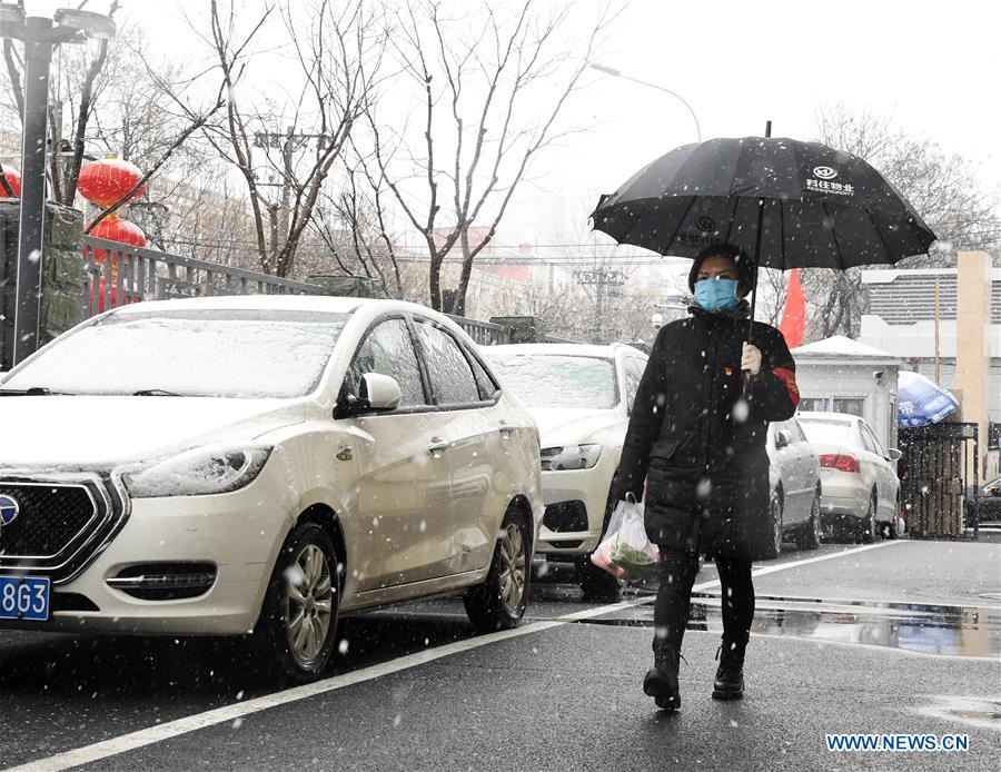 Bac kinh virus corona anh 1