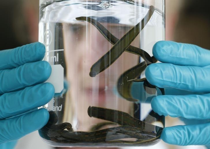 dia phong dich virus corona anh 3