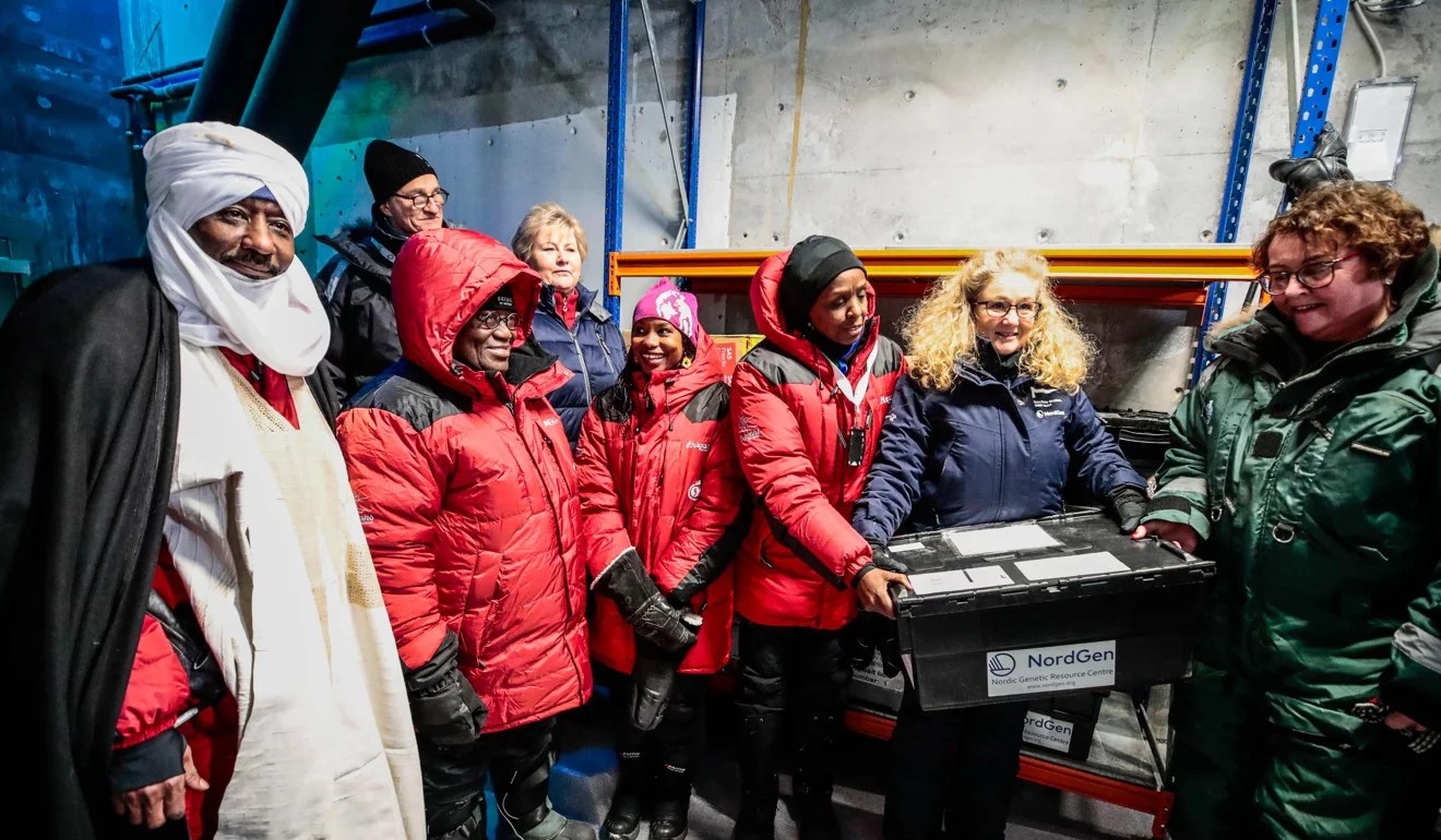 kho chua hat giong bac cuc anh 2