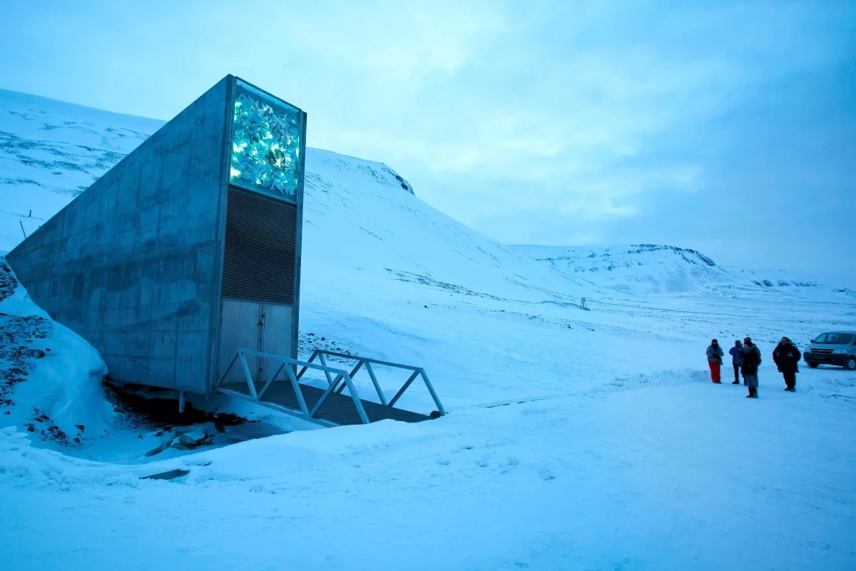 'Kho chua ngay tan the’ Bac Cuc cat giu 1 trieu hat giong hinh anh