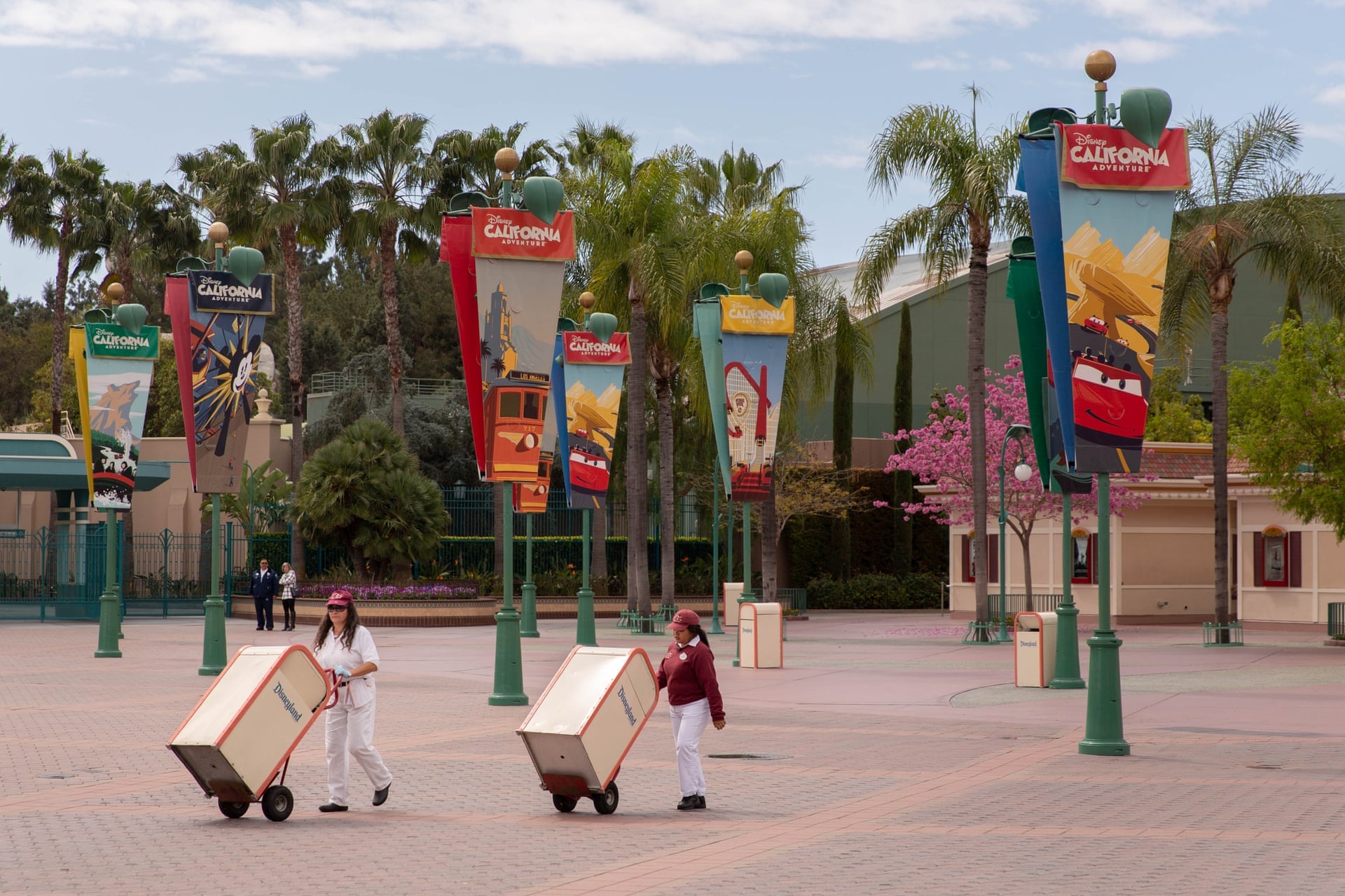 New York My dong cua,  phong toa vi dich Covid anh 16