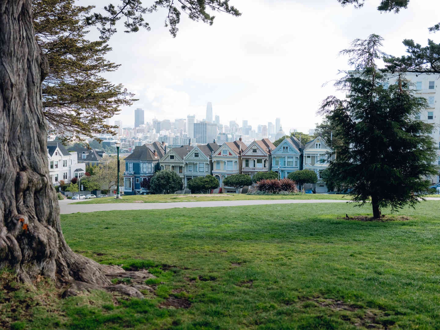 thanh pho hoang vang dich virus corona anh 23