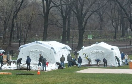 New York lap benh vien da chien o ngay Central Park hinh anh