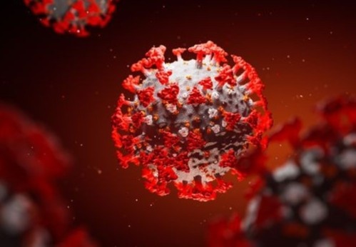 Virus corona tiep tuc dot bien, da co 8 bien the tren toan cau hinh anh