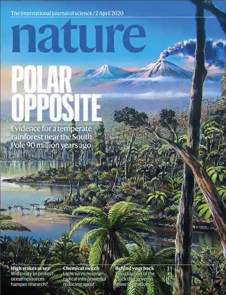 Nam cuc tung co rung anh 2