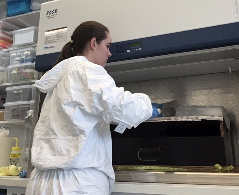 vi nhua trong loi bang Nam Cuc anh 2