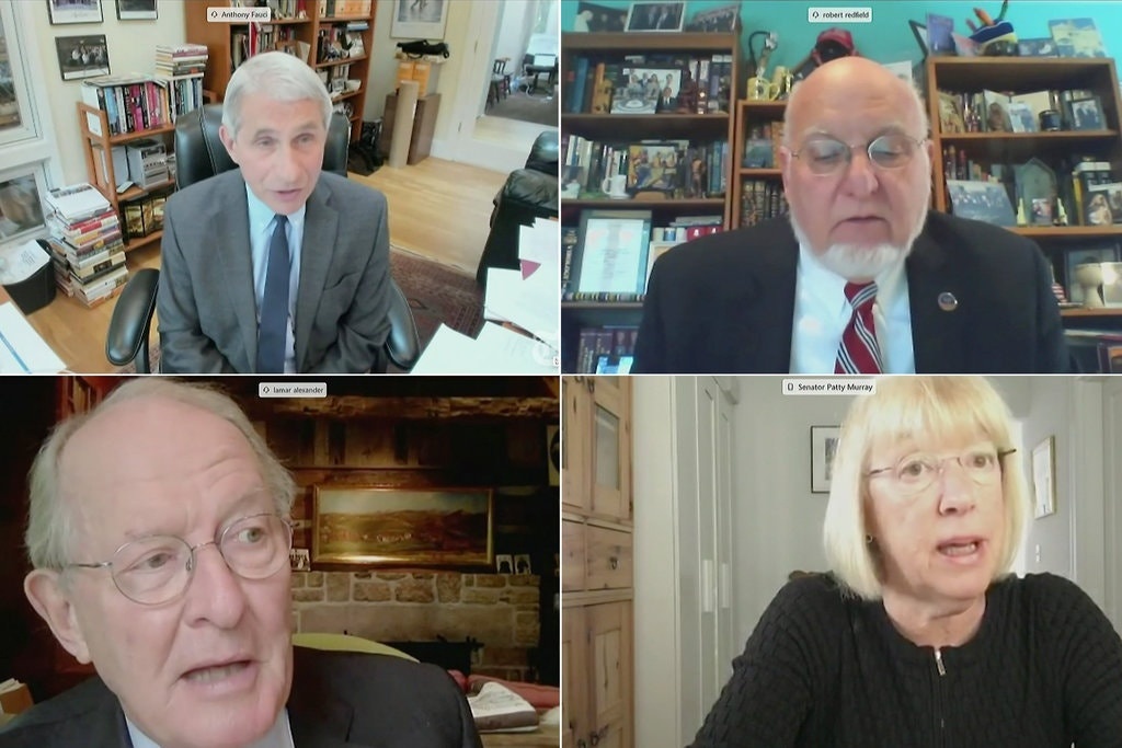 fauci dieu tran anh 1