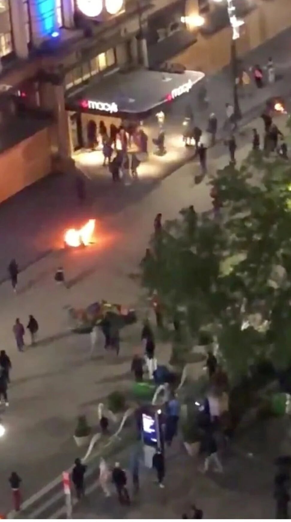 bieu tinh o My anh 2