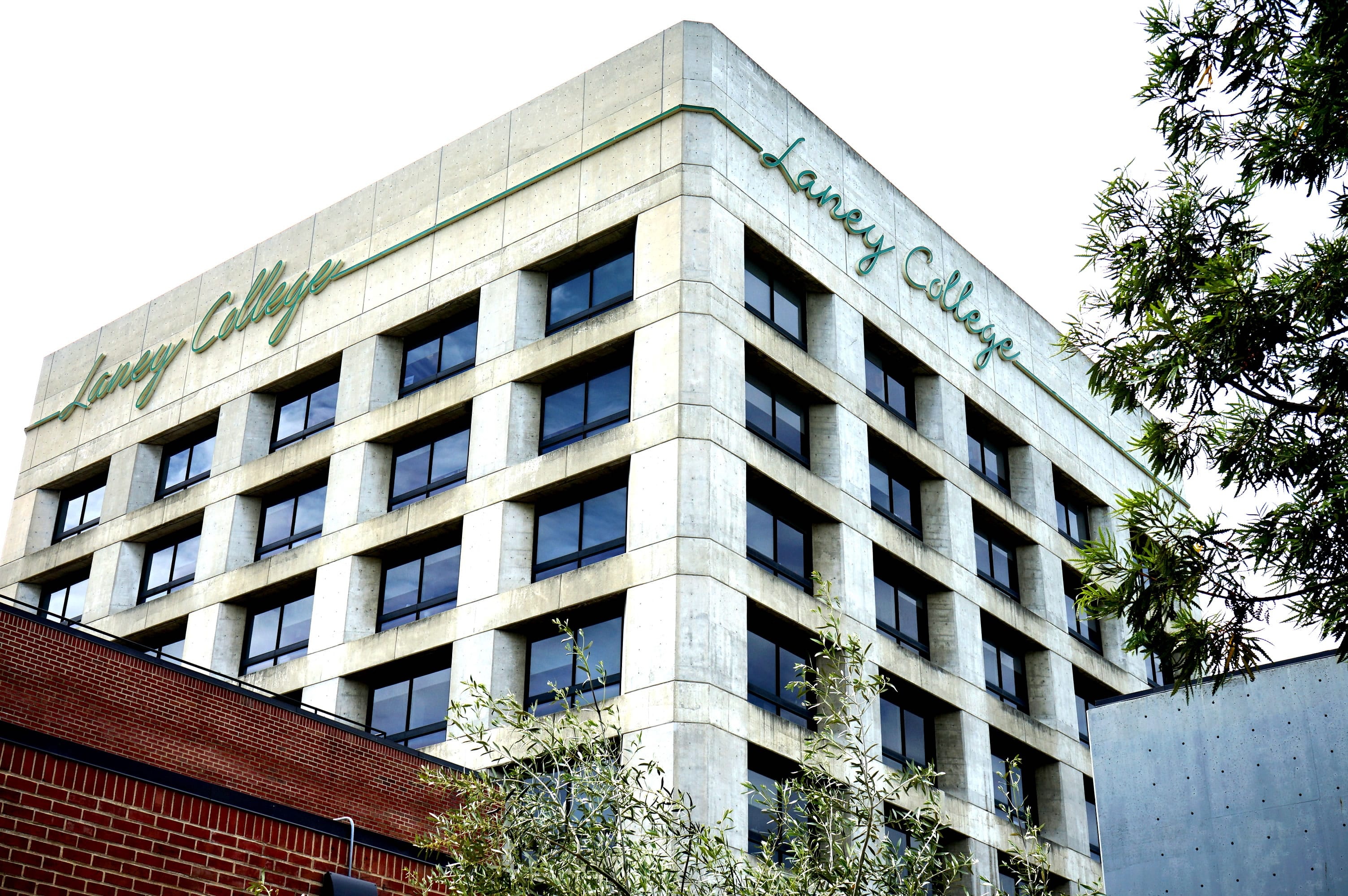 Giang vien My bi to doi sinh vien Viet doi ten vi 'nghe nhu cau chui' hinh anh