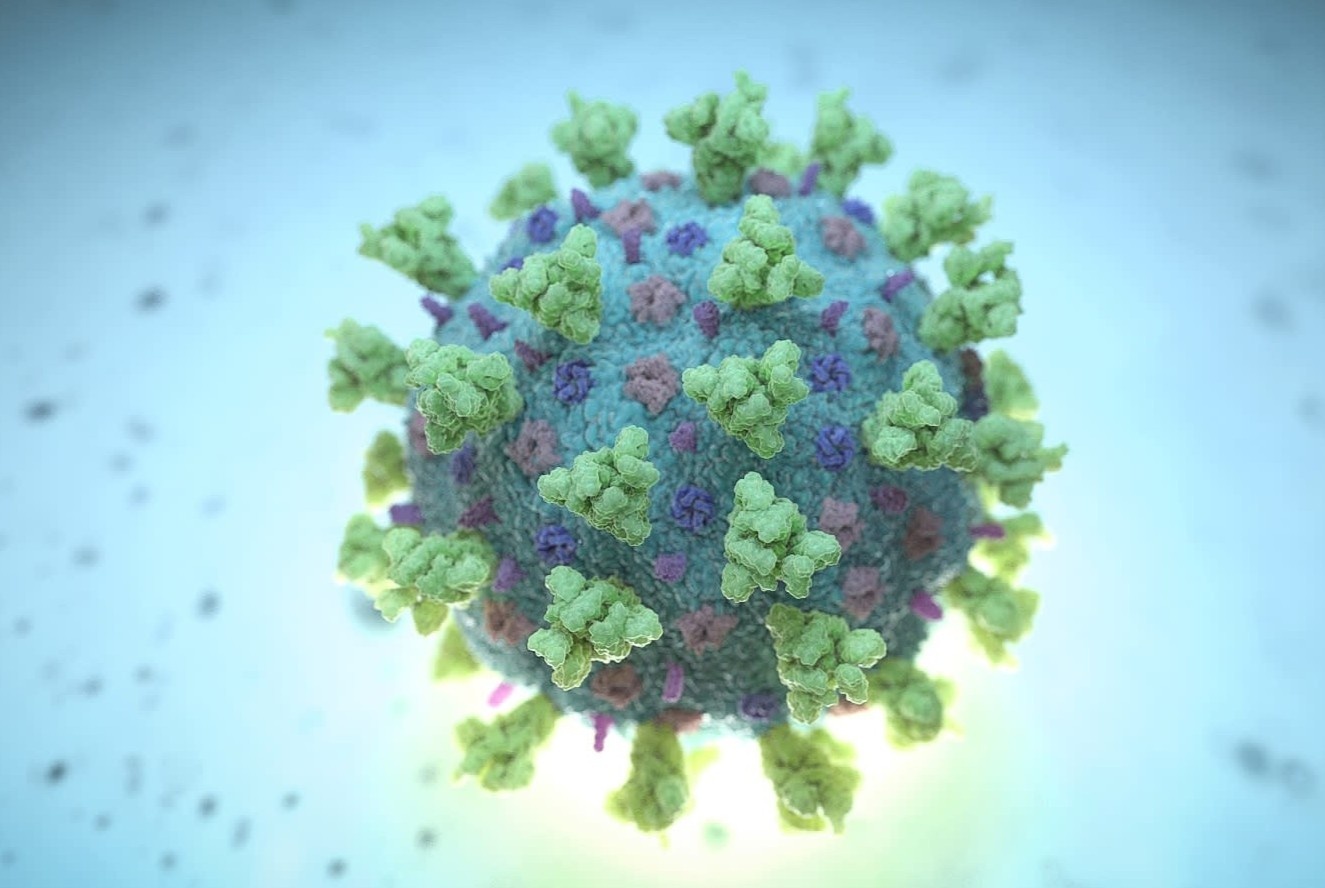 Ma di truyen cho thay phat hien moi ve virus corona o Vu Han hinh anh