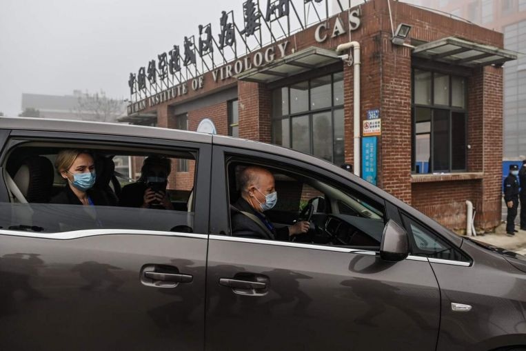 nguon goc dich benh anh 2