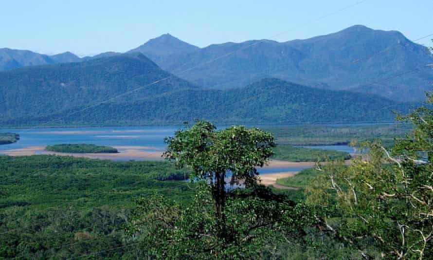 ca sau an thit nguoi anh 1