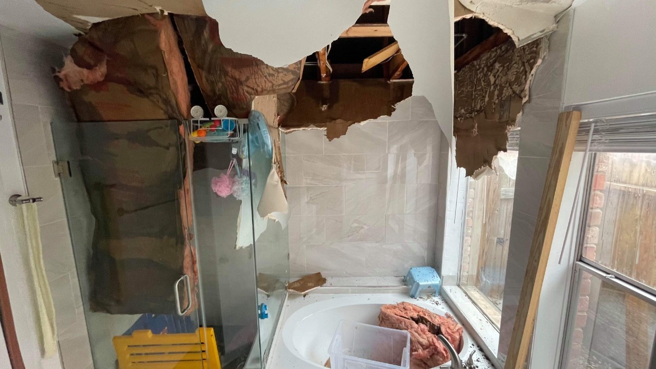 Con ac mong voi nguoi Viet o Texas vi bang gia 'tu than' hinh anh