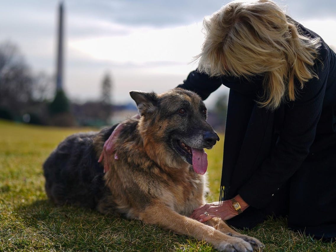 Che gieu cho nha Biden 'ban', dai bao thu My bi chi trich hinh anh