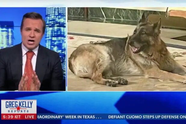 kenh bao thu o My anh 1