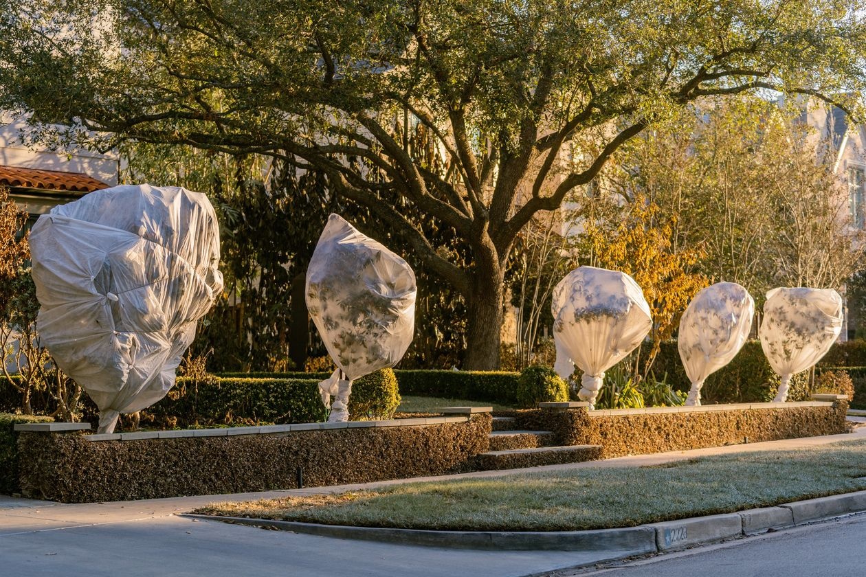 mat dien o texas anh 5