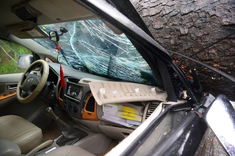 Bao Mirinae hoanh hanh o Ha Noi hinh anh