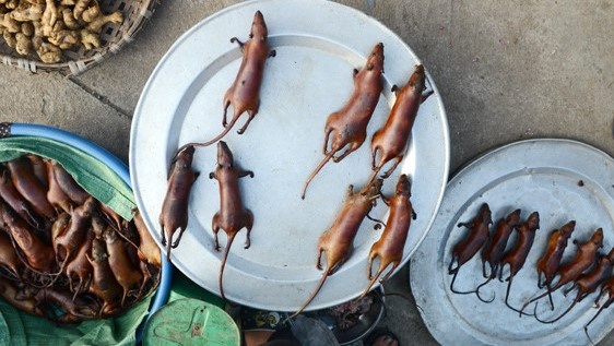 Dac san thit chuot cua nguoi Ha Noi hinh anh