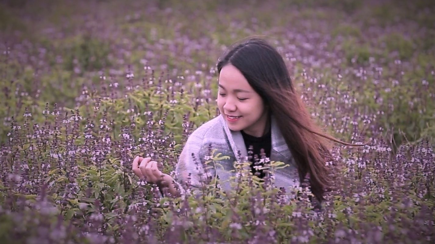 Thuc hu canh dong hoa Lavender thu hut gioi tre den check-in hinh anh