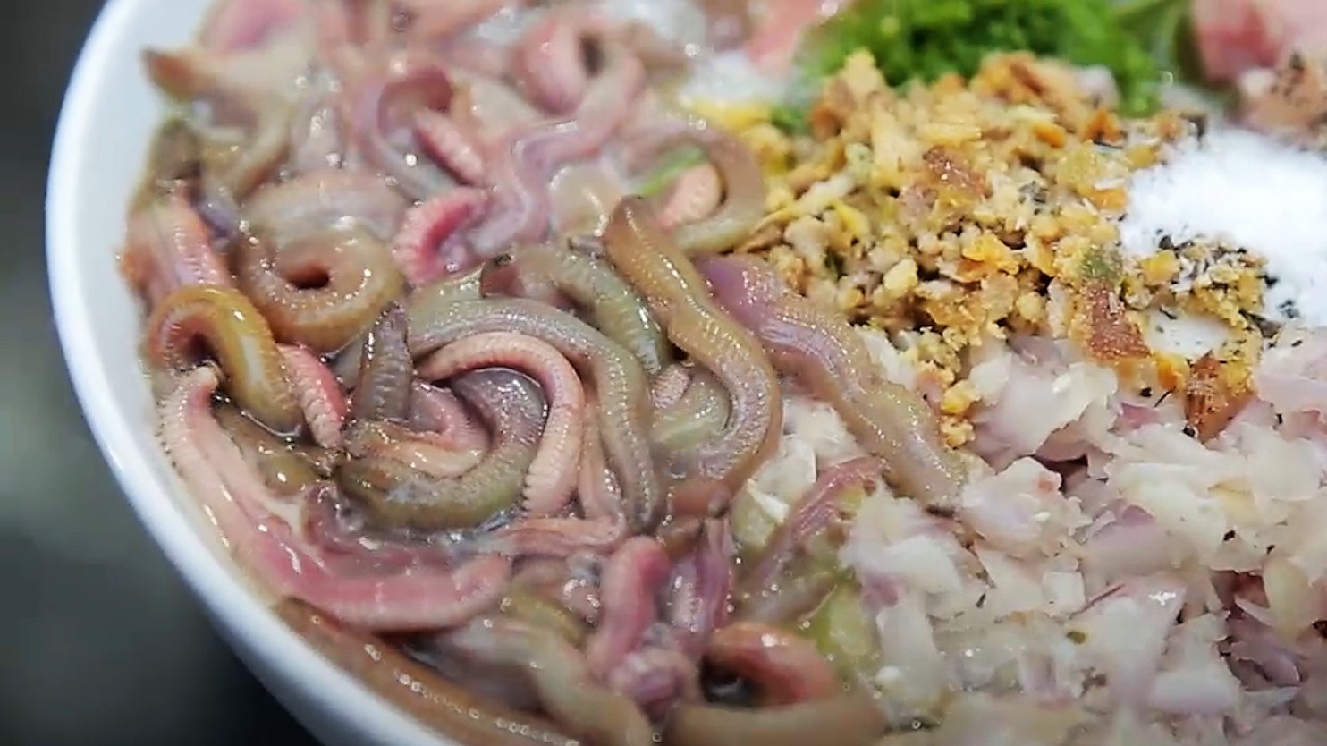 Dac san 'rong dat' tai Ha Noi hinh anh