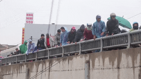 Loi ruong, bam lan can cau vao cho mua do may man hinh anh